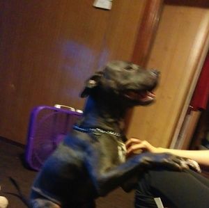 Meet your Posher, Krista